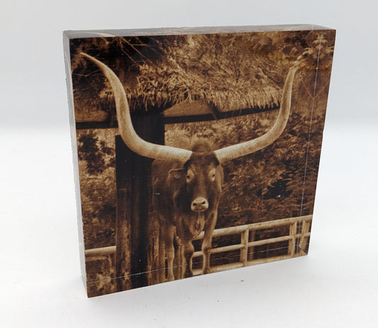 Jacob's Cow Acrylic Block