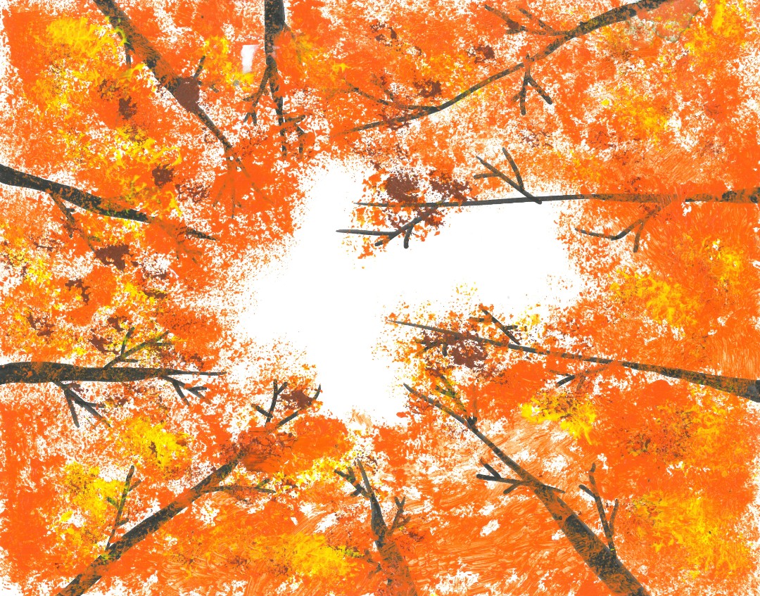 Artistic rendering of trees with orange autumn leaves on a white background