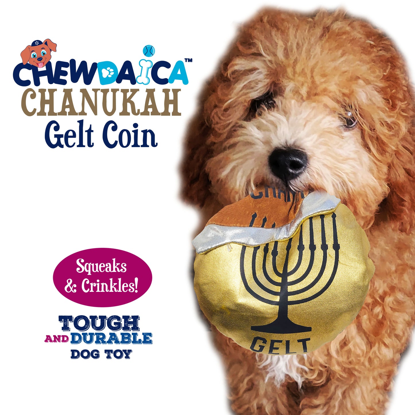 gelt chew toy
