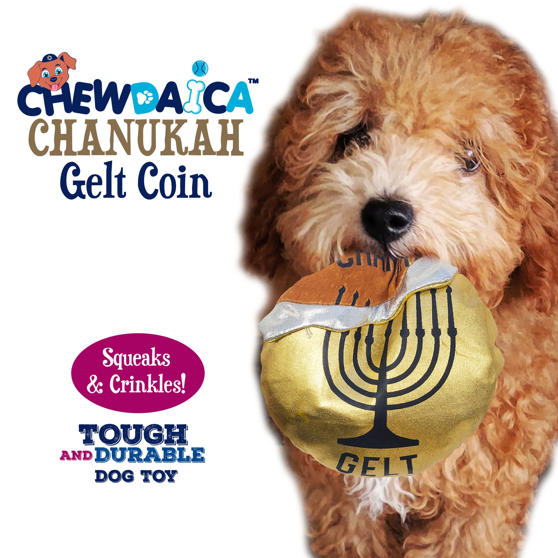 gelt chew toy