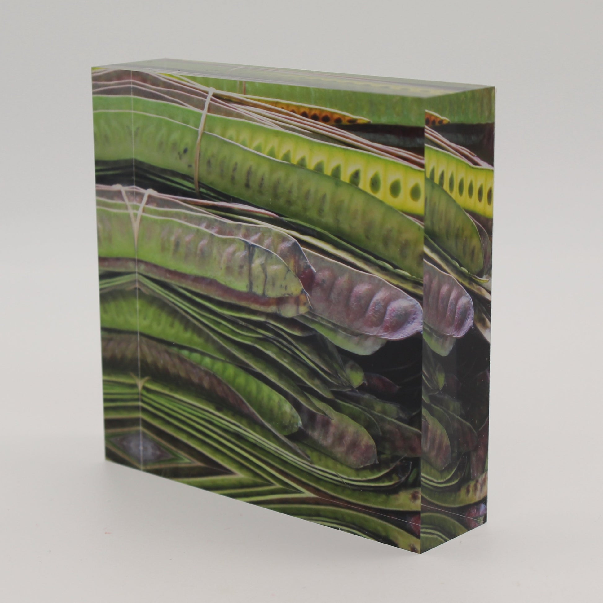 Tilted view of acrylic block picture of green bean pods