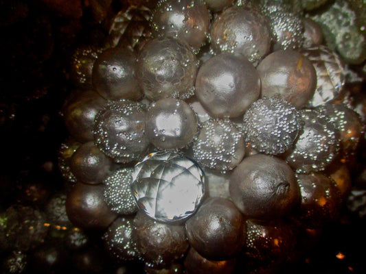 Beads Photography by Amy Davis