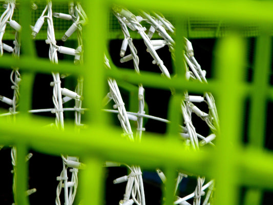Interacting Lines Photography by Amy Davis