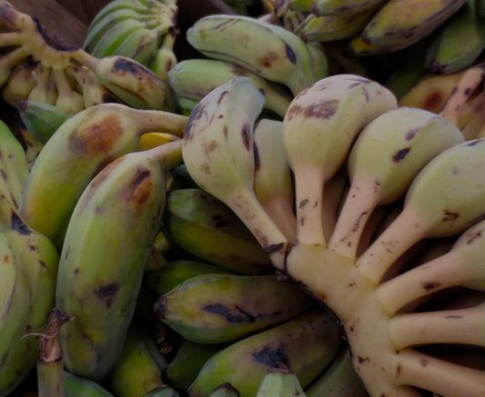 Bananas