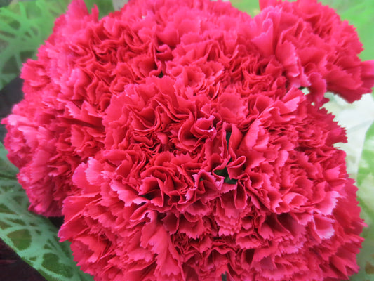 Flower Petals