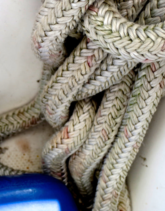 Rope Snake