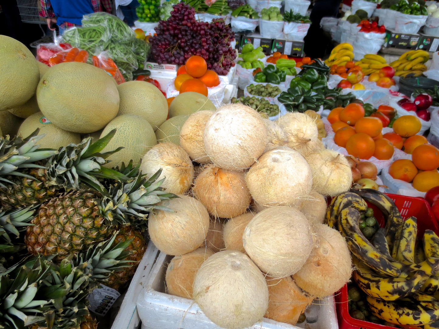 Fruits