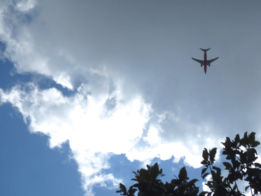 Plane