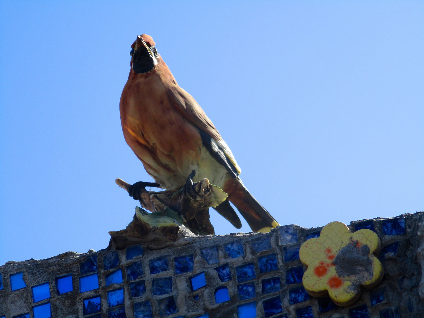 Bird Watching Photography by Becca Golub