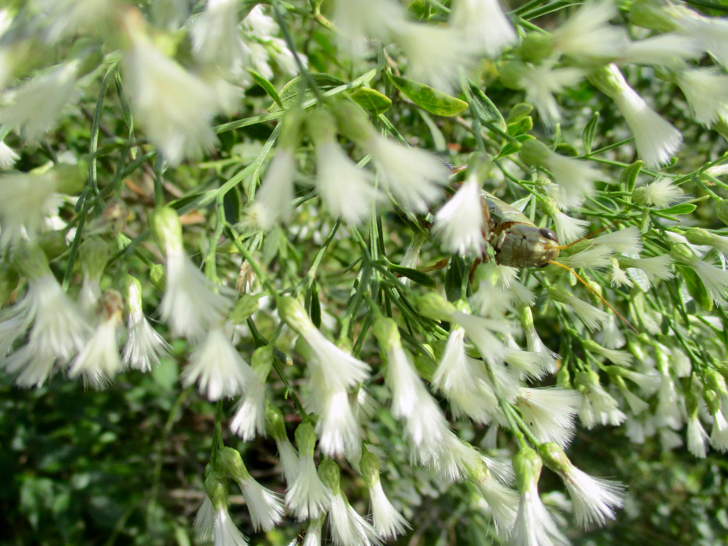 Photograph of Outside In Nature