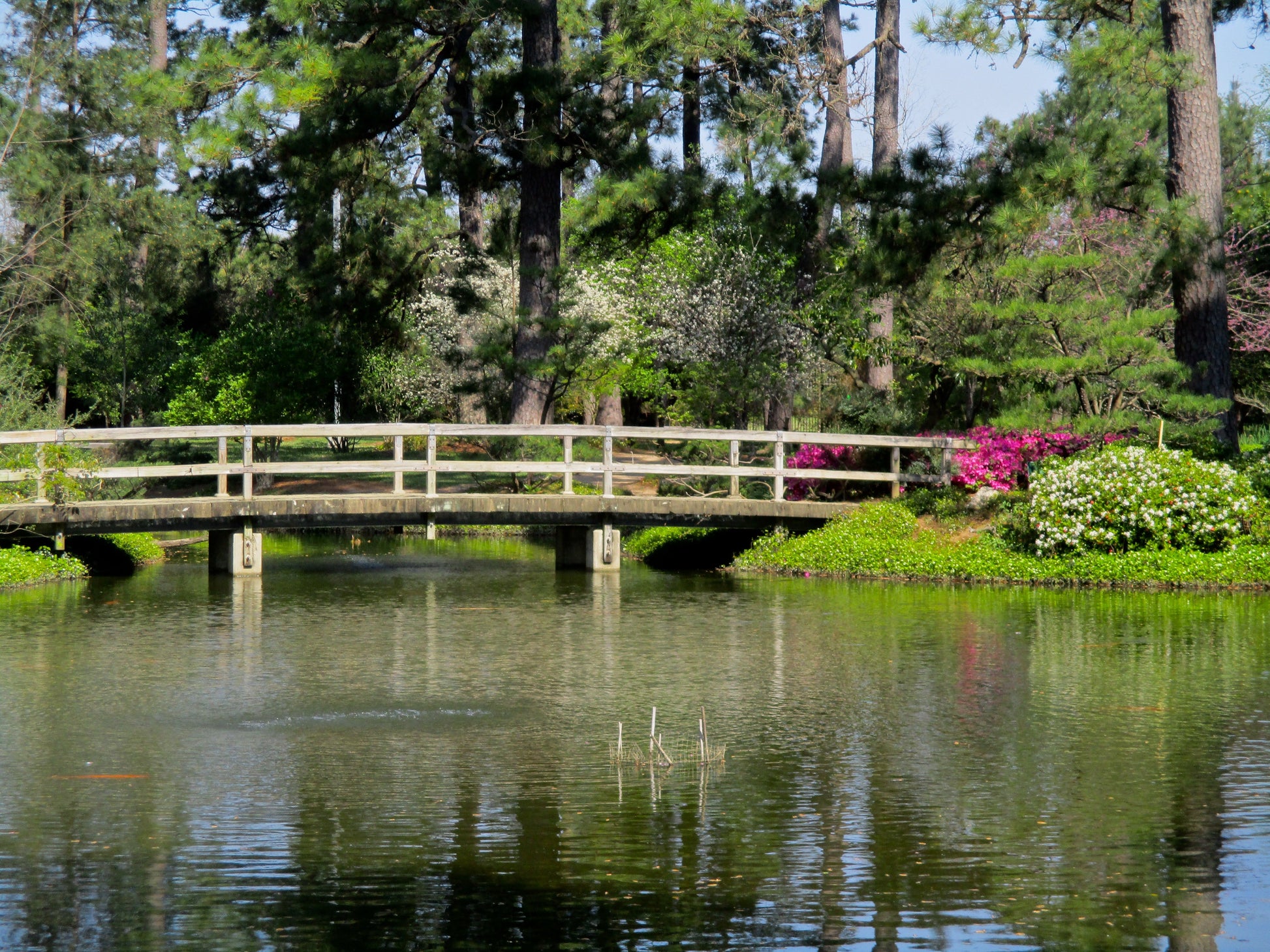 A Peaceful Walkway Photography by Ellen Reichenthal