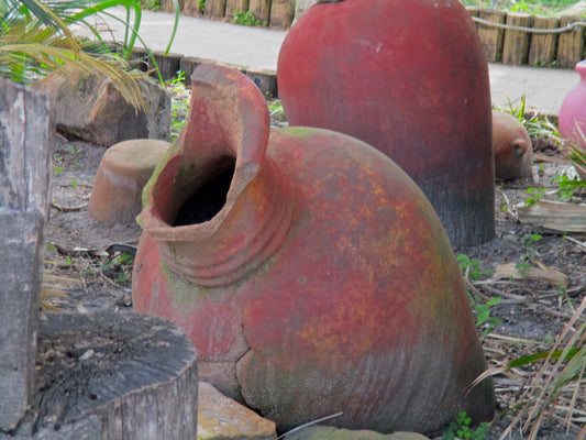 A Planted Pot Photography by Ellen Reichenthal