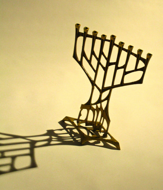 Menorah Photography by Ellen Reichenthal