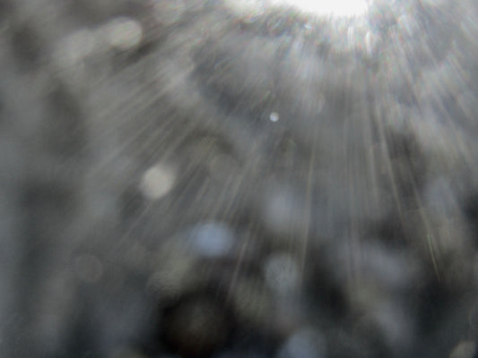 photograph of gray sunlight