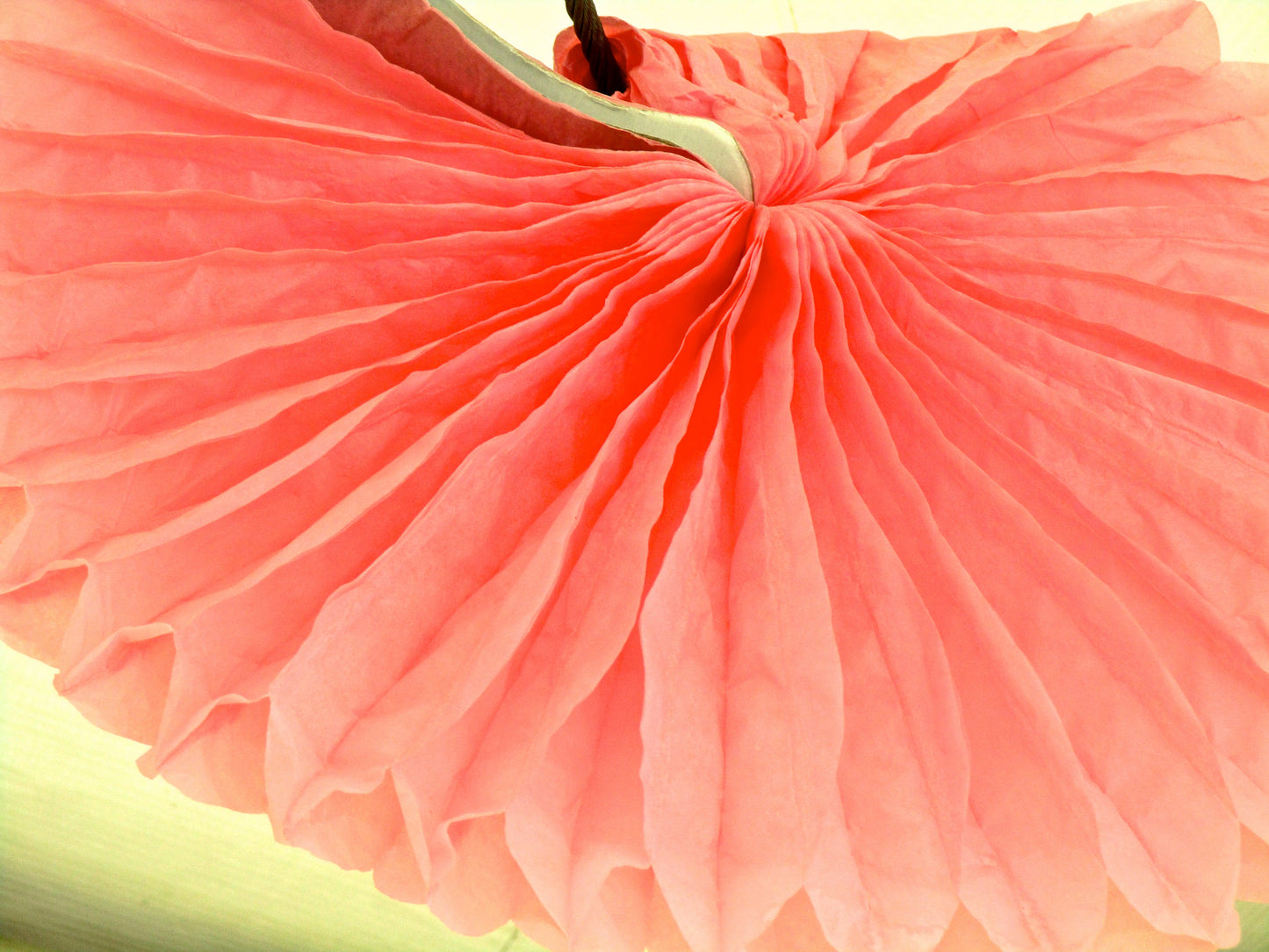 A Shell Flower