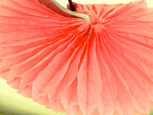 A Shell Flower