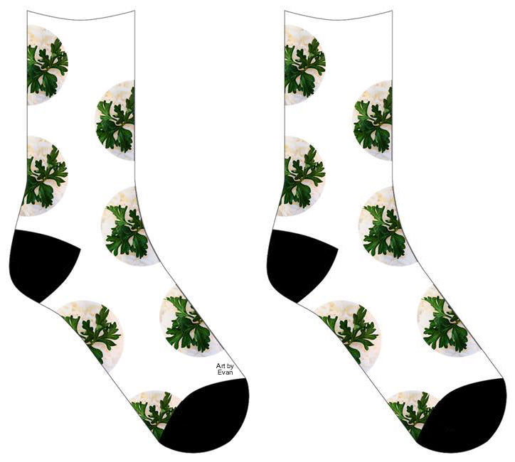 Socks with circles of Photograph of a green leafy herb amongst white rice