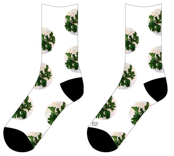 Socks with circles of Photograph of a green leafy herb amongst white rice