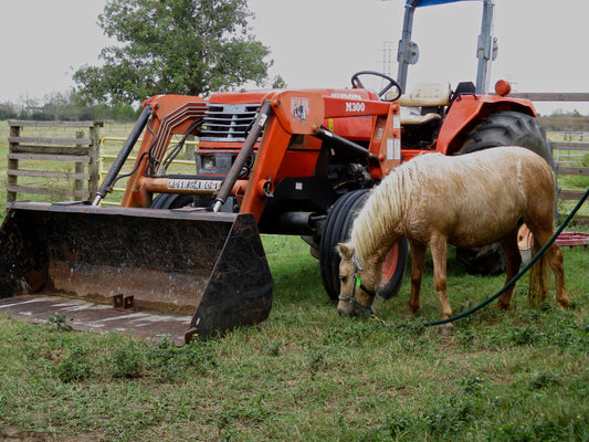 A Horse by a Tractor Photography by Gabrielle Howard