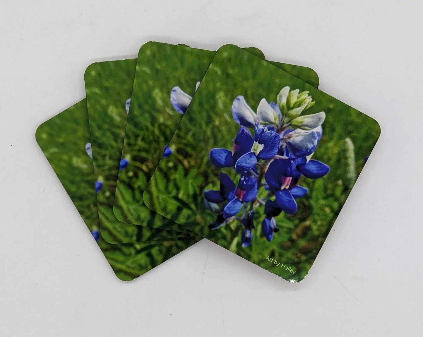 coaters with bluebonnets