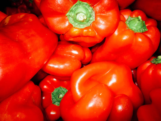 Cooking Photography by Halley Turner