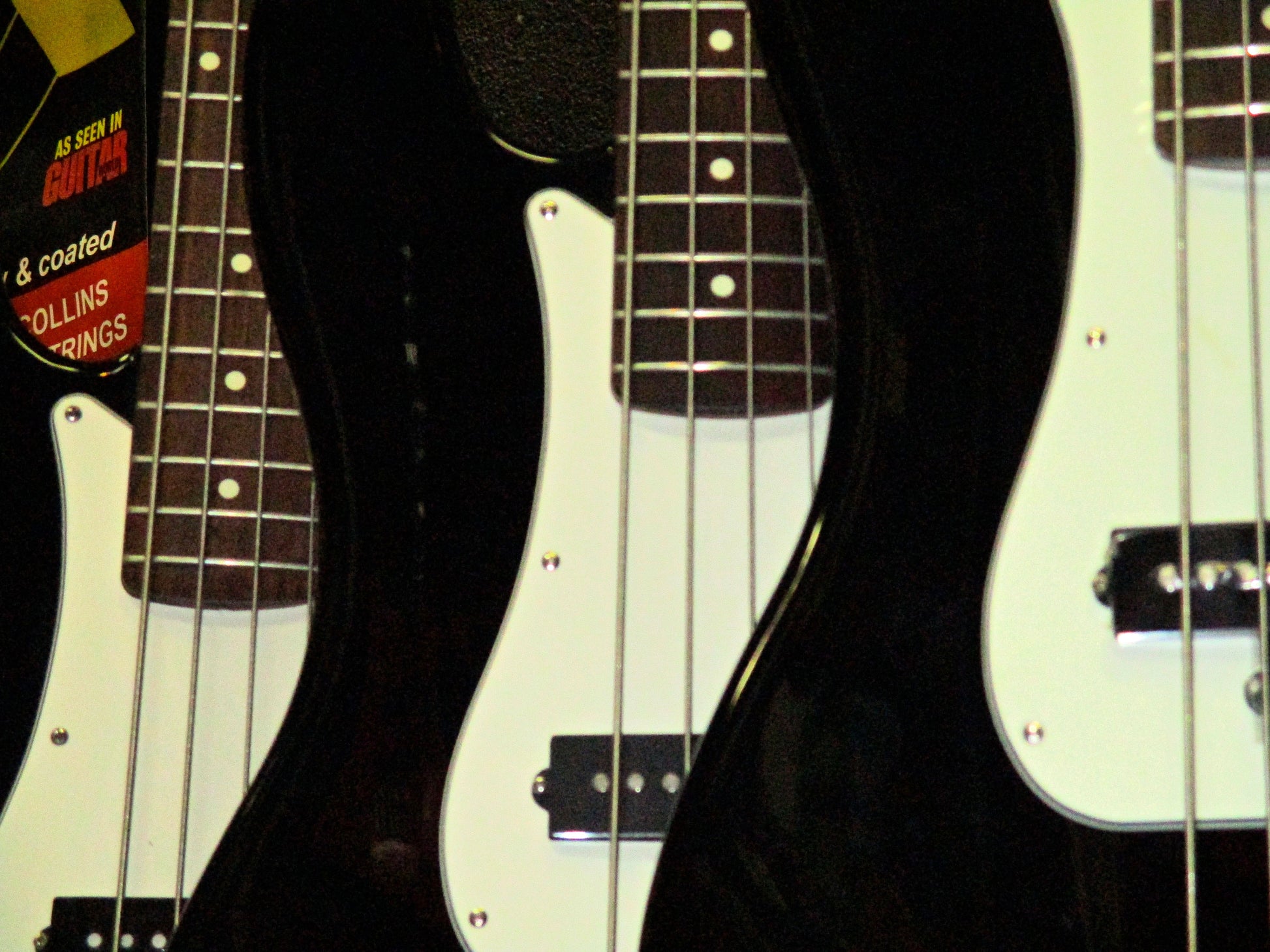 Music Photography by Halley Turner