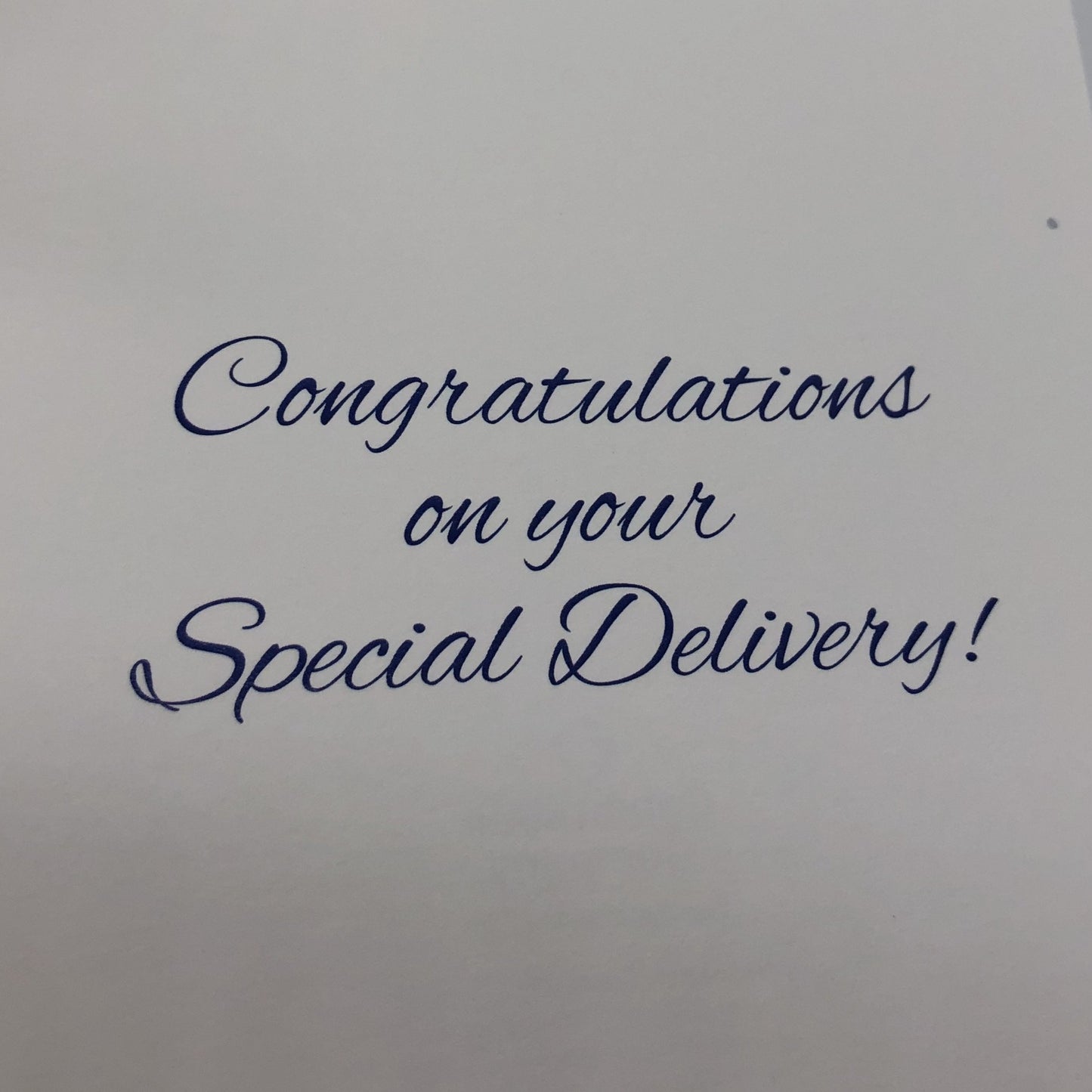 Inside message in script font printed in blue. "Congratulations on your Special Delivery!"