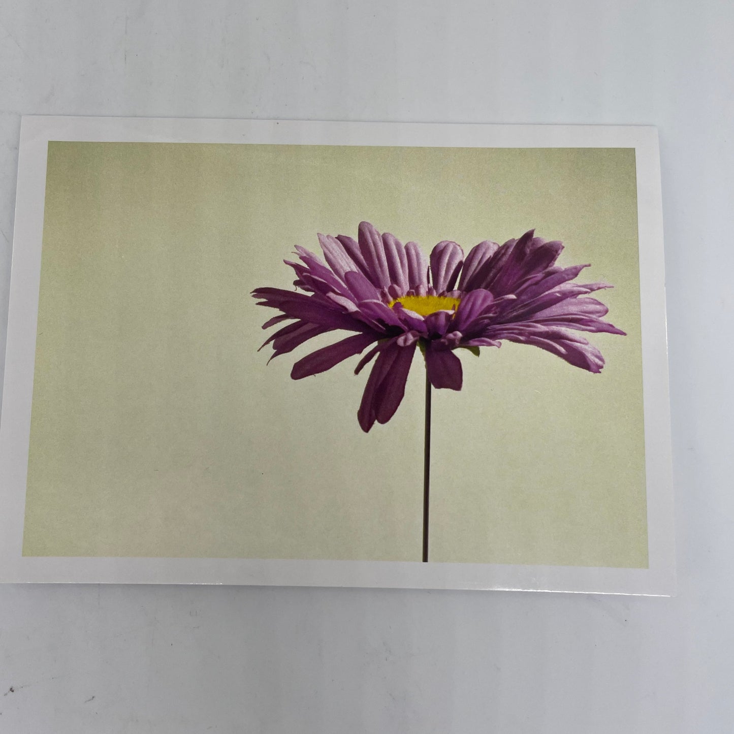 Botanical variety pack Graphic Cards