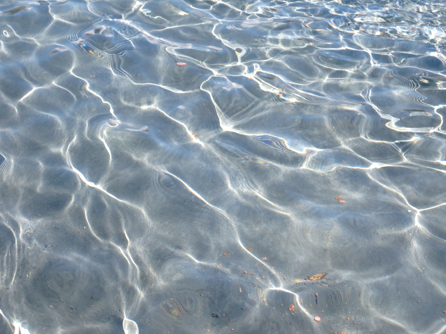 Crossing the Water Photography by Ian Spindler