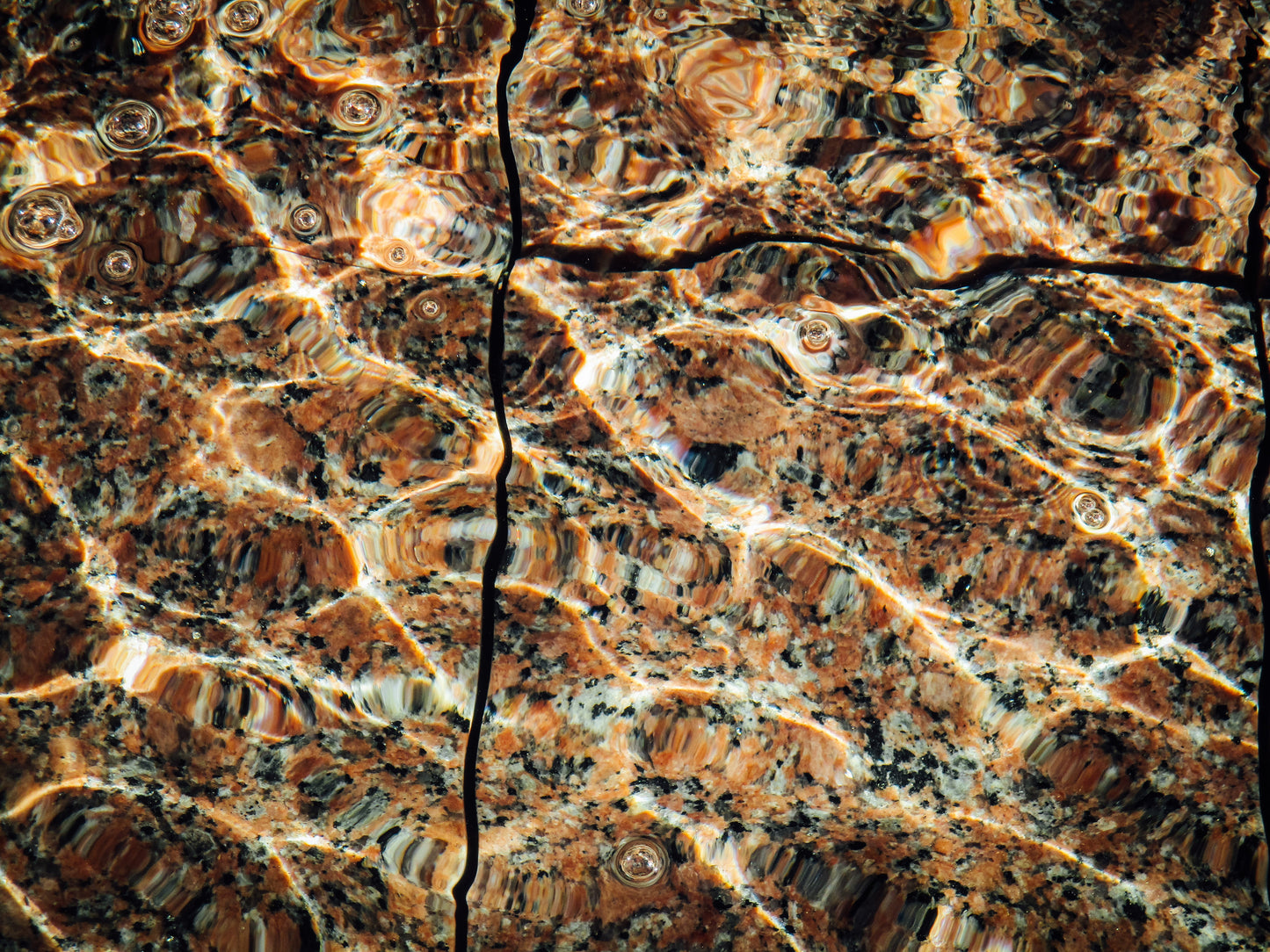 Shedding Scales Photography by Ian Spindler