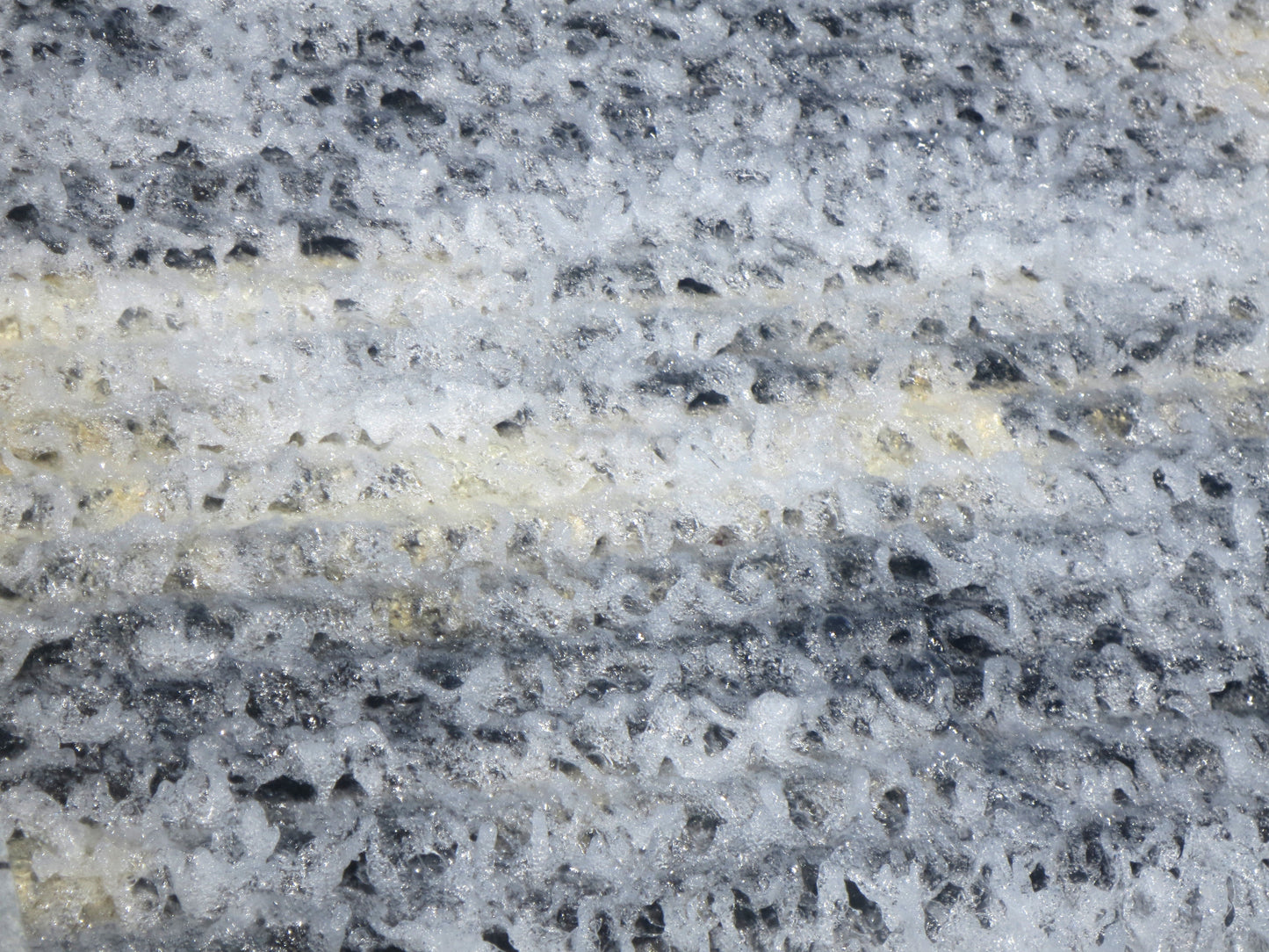 Star Snow Photography by Ian Spindler