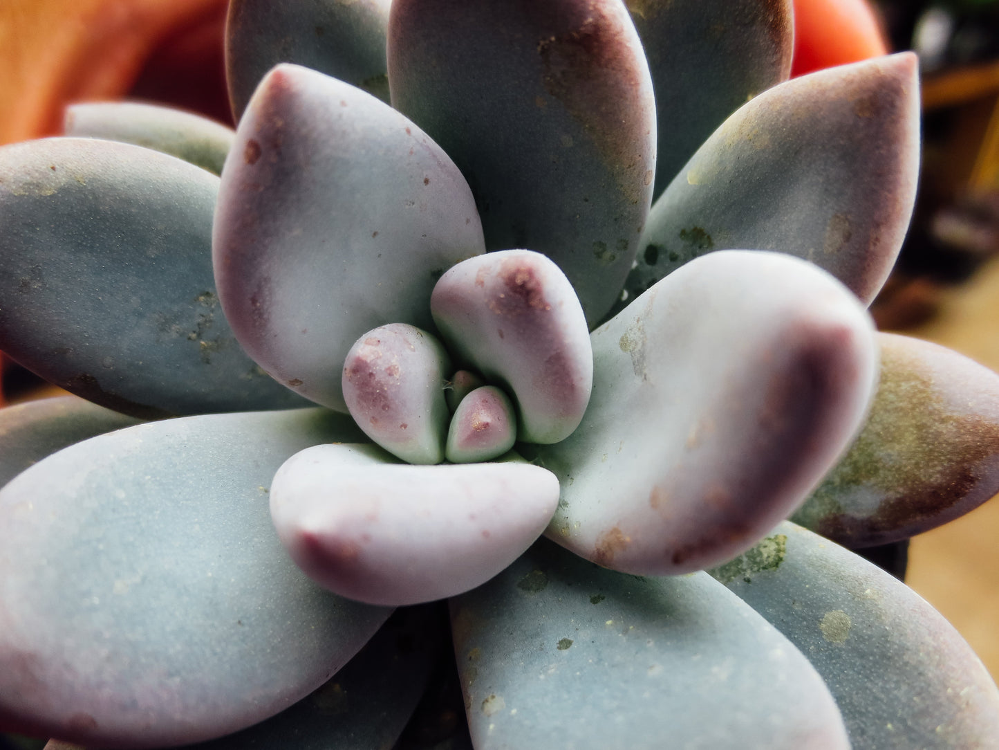 Mountains of Rocks Photography by Melissa Shapiro