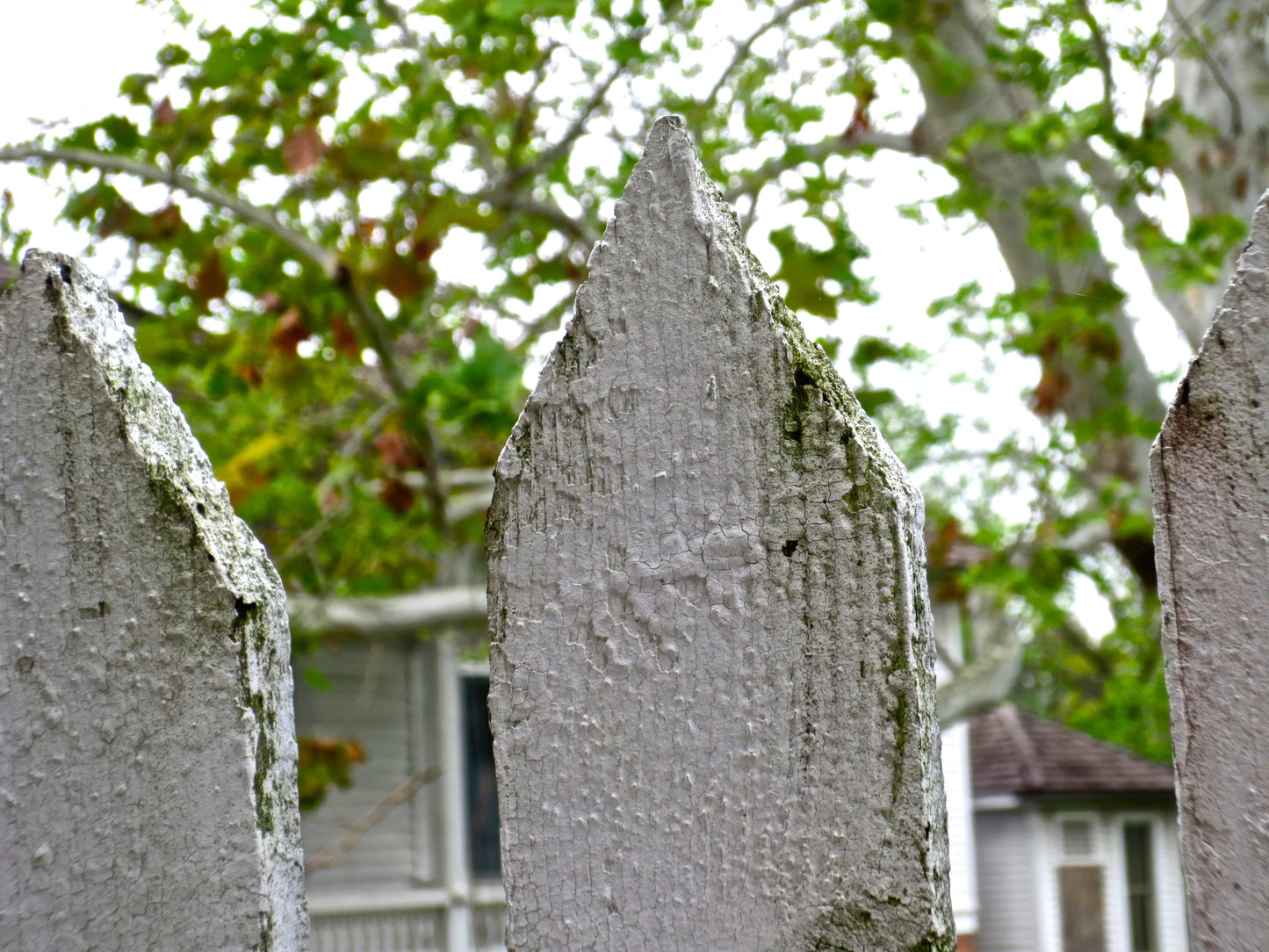 To Someones House Photography by Melissa Shapiro