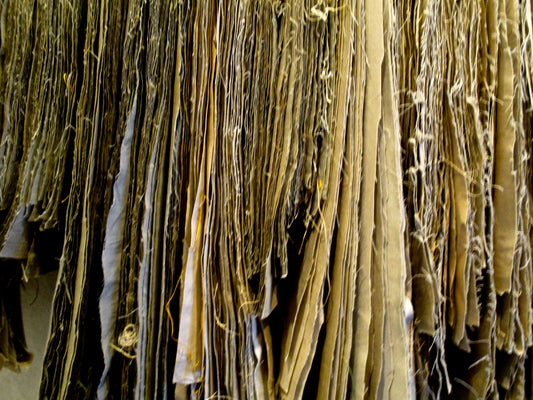Lines Photography by Shelly Heffler
