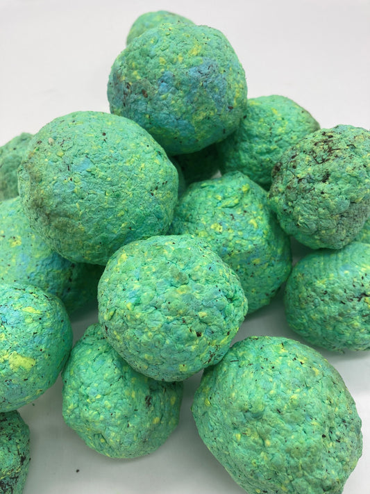 Earth Day ~ Seed Bombs
