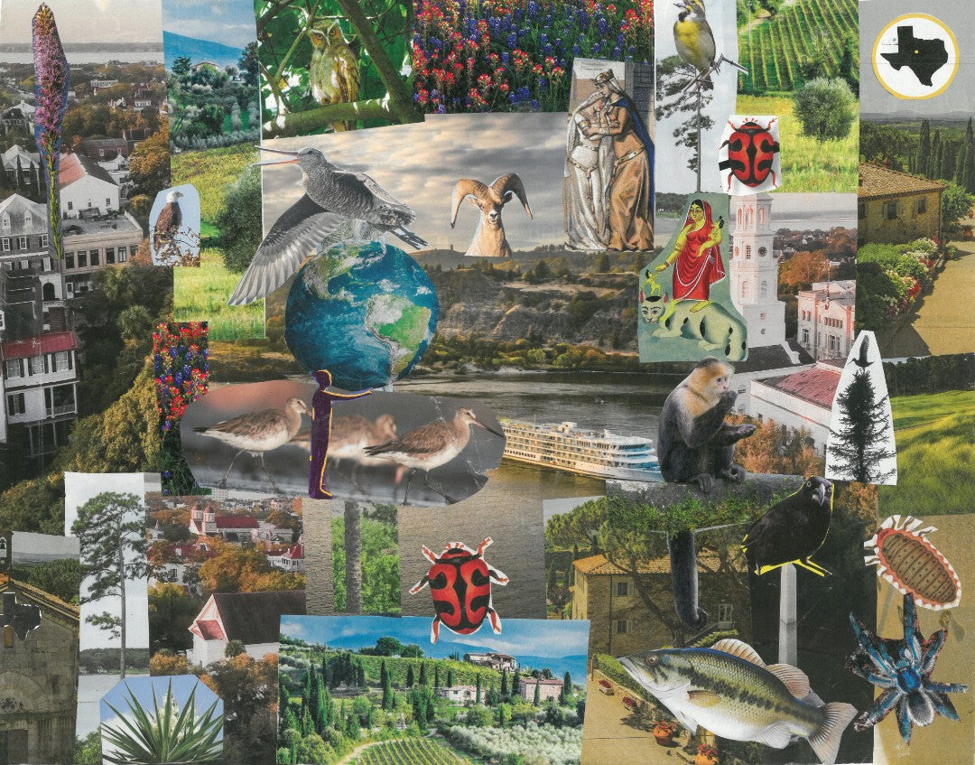 Artistic collage of nature, animals, and people