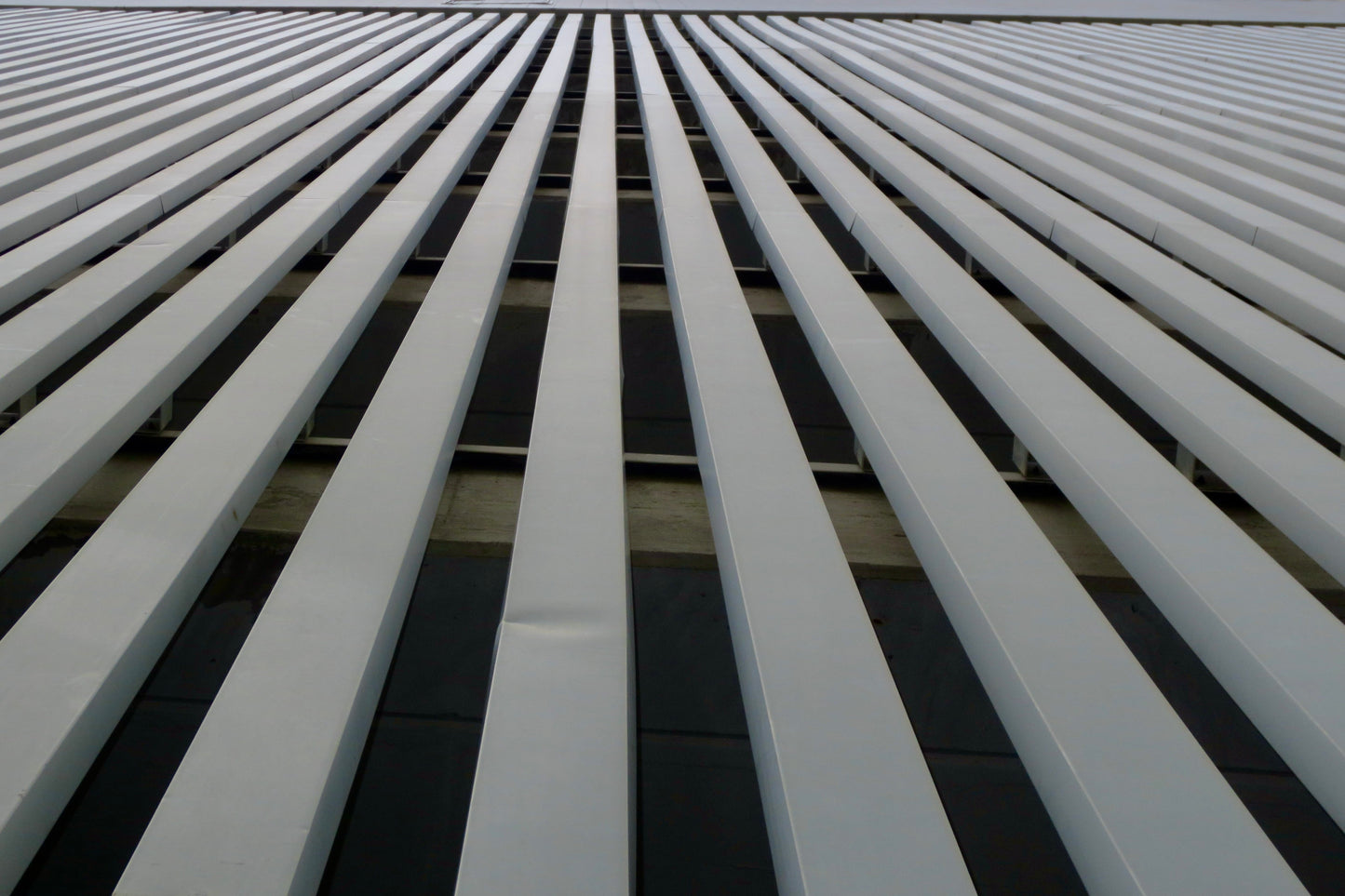 photograph of lines of a building