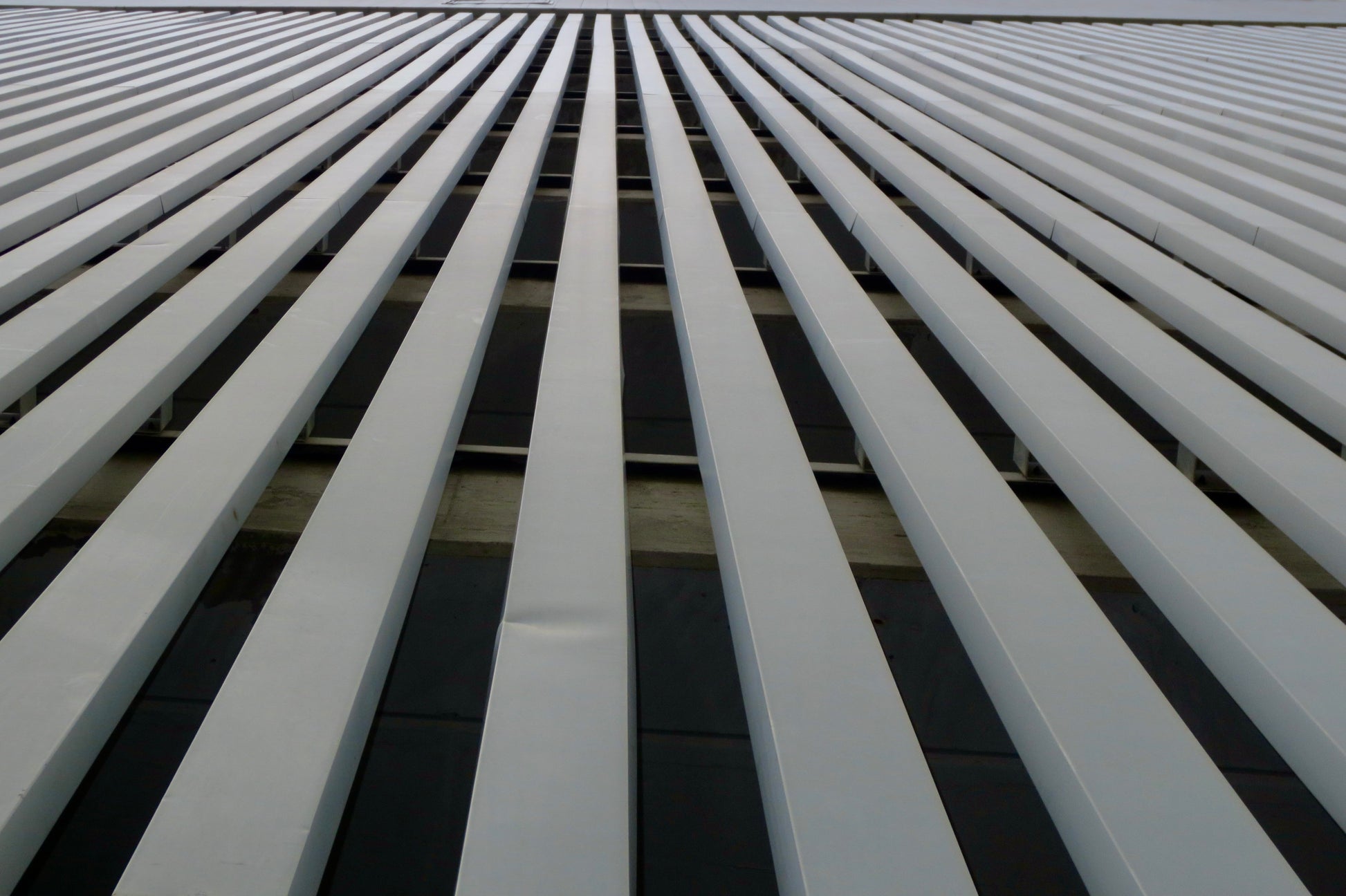 photograph of lines of a building
