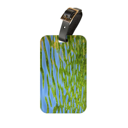 luggage tag with an image of a water reflection