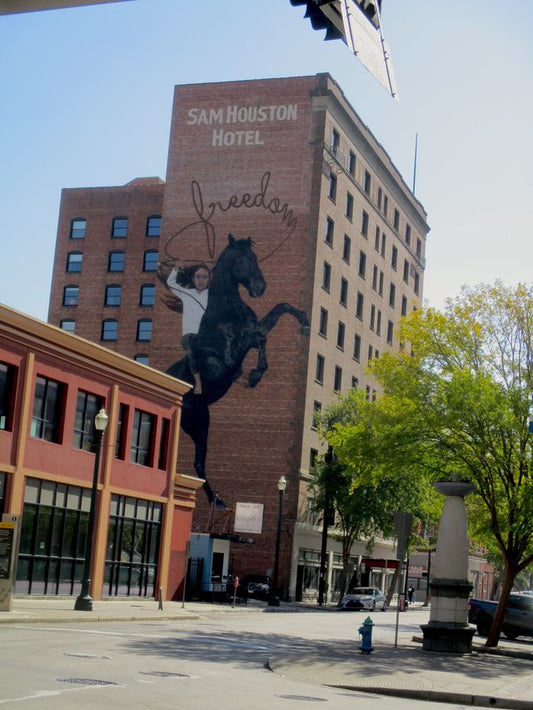 Photograph of brick building that has a mural of a black horse with its front legs in the air and a girl on its back lasso's spelling freedom in cursive