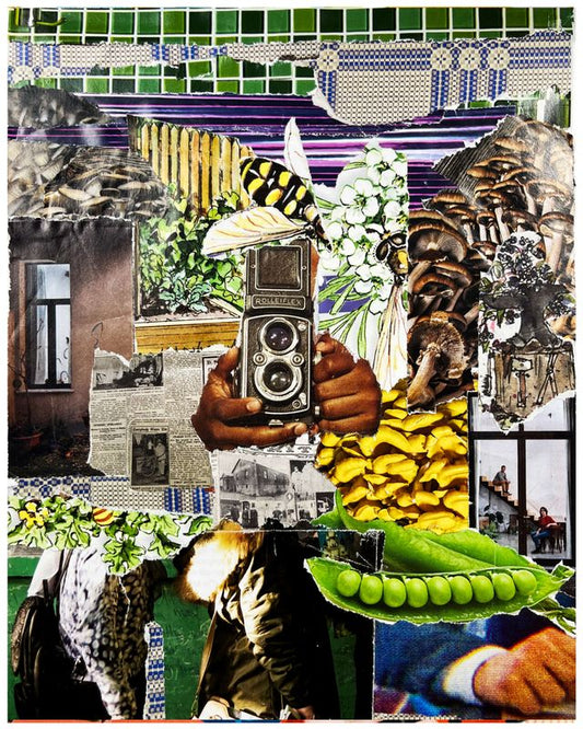 Collage of an old camera surrounded by mushrooms, tiles, beem peas, and hands