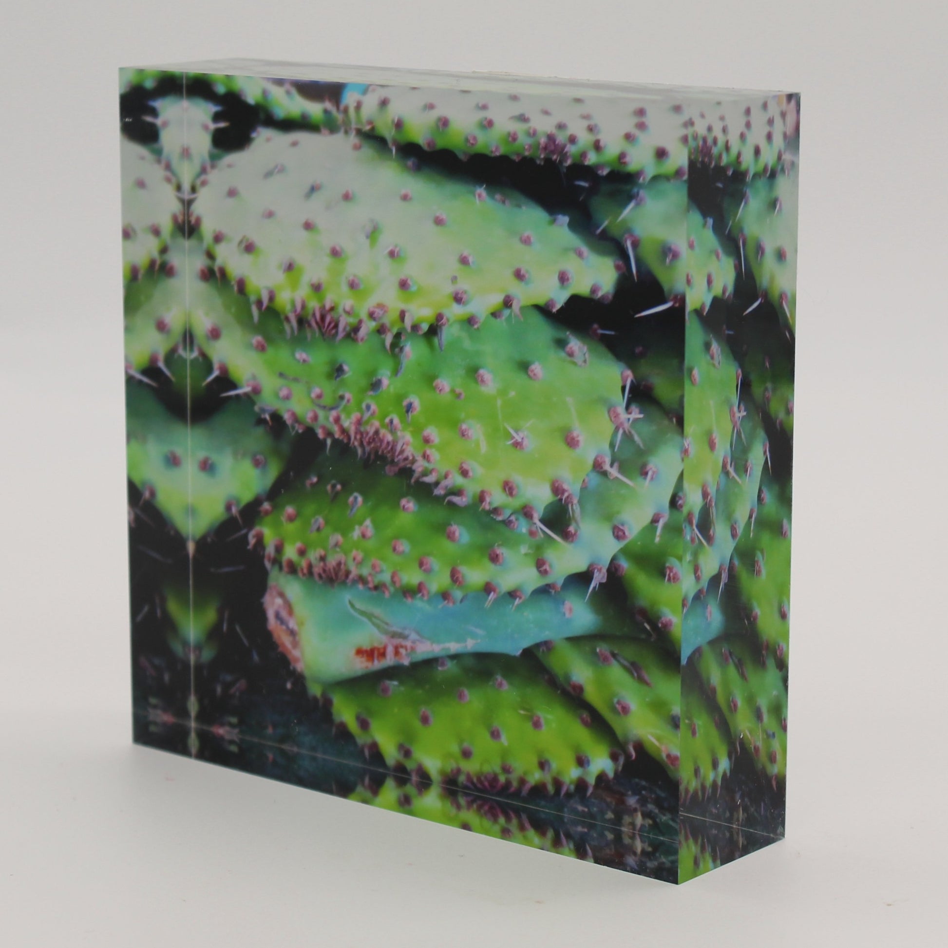 Tilted view of Acrylic block picture of green cactus pads and pink thorns