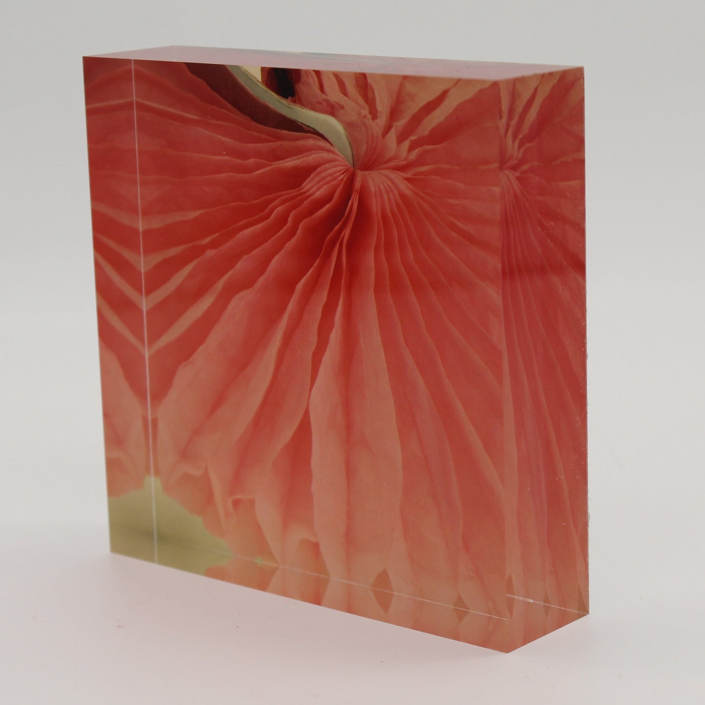 Tilted view of Acrylic block picture of pink swirled flower