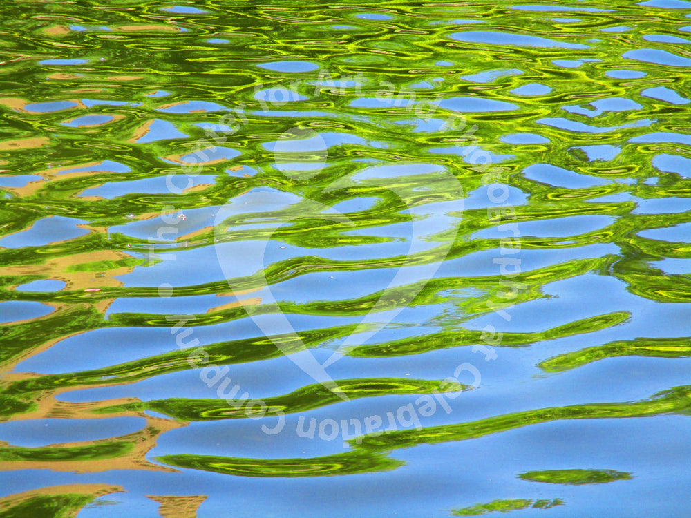 Artwork depicting reflecting water and leaves