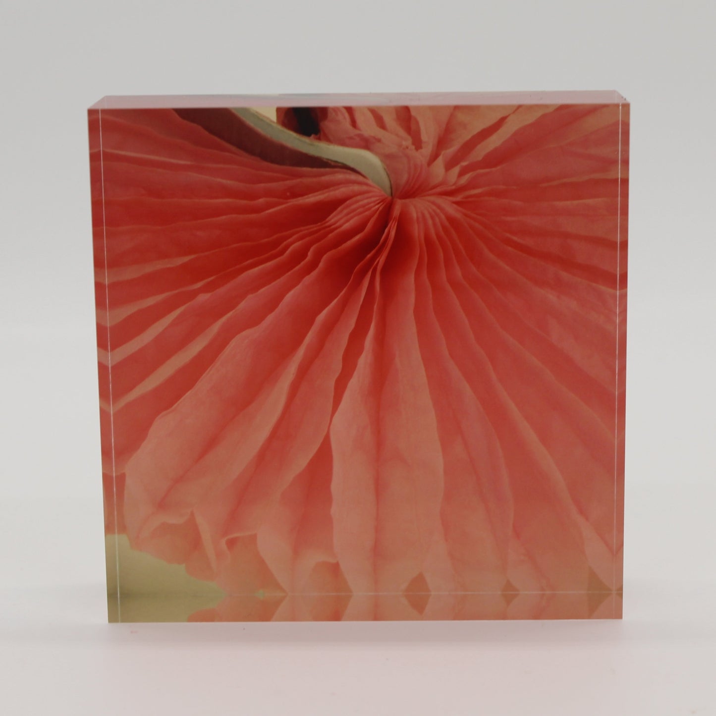 Acrylic block picture of pink swirled flower