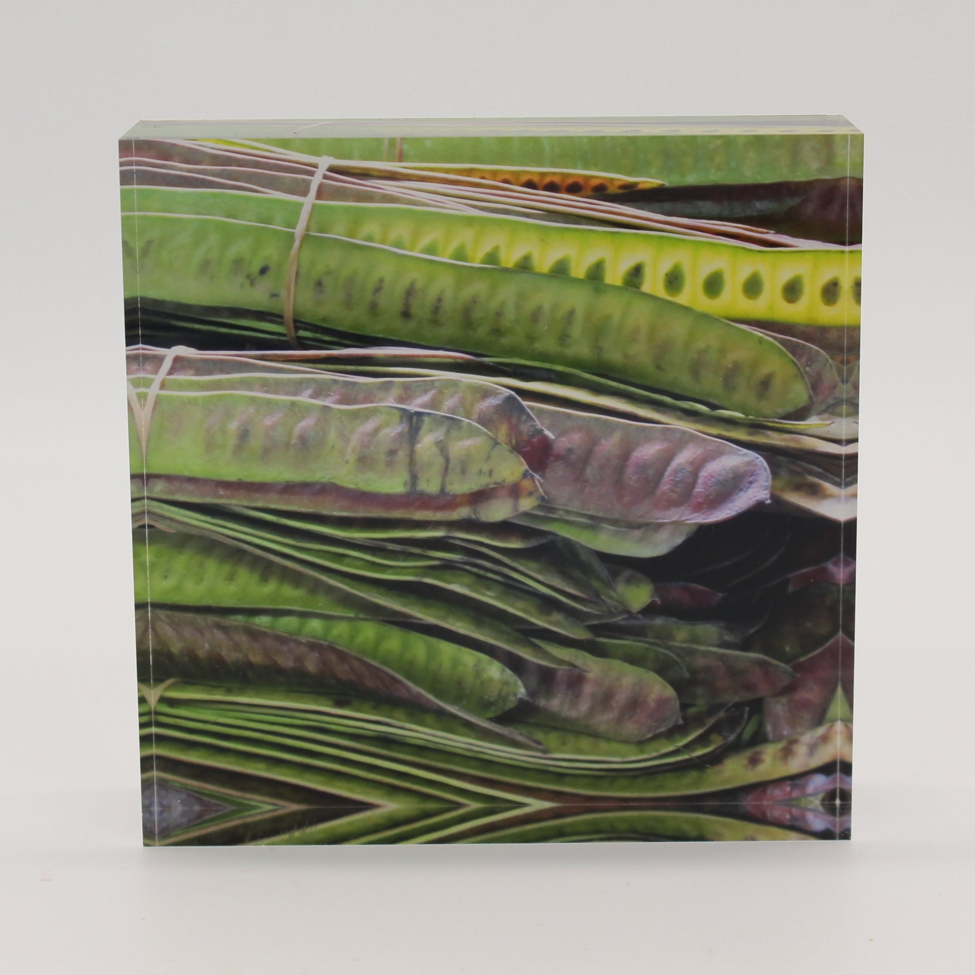 Acrylic block picture of green bean pods
