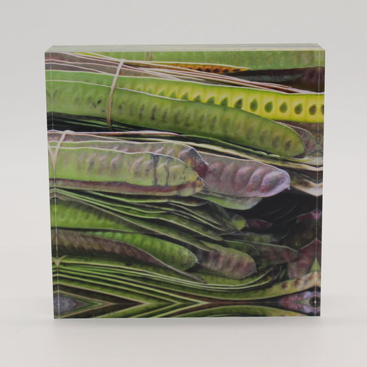 Acrylic block picture of green bean pods