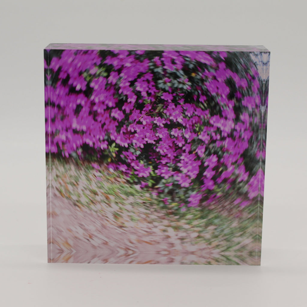 Acrylic block of purple azalea flowers