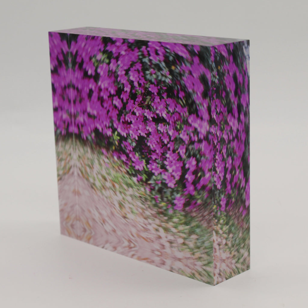 Tilted view of Acrylic block of purple azalea flowers