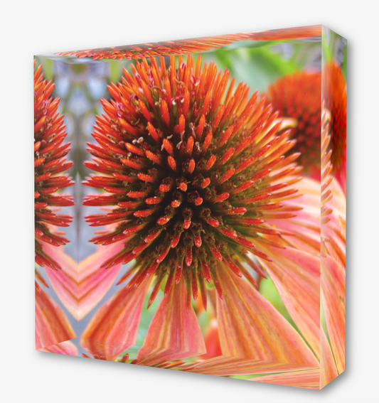 Photo of red flower inside acrylic block gives it a 3D look